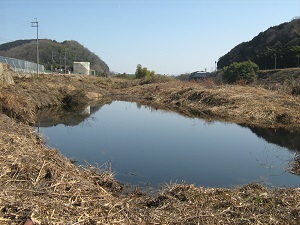 おいの池の写真